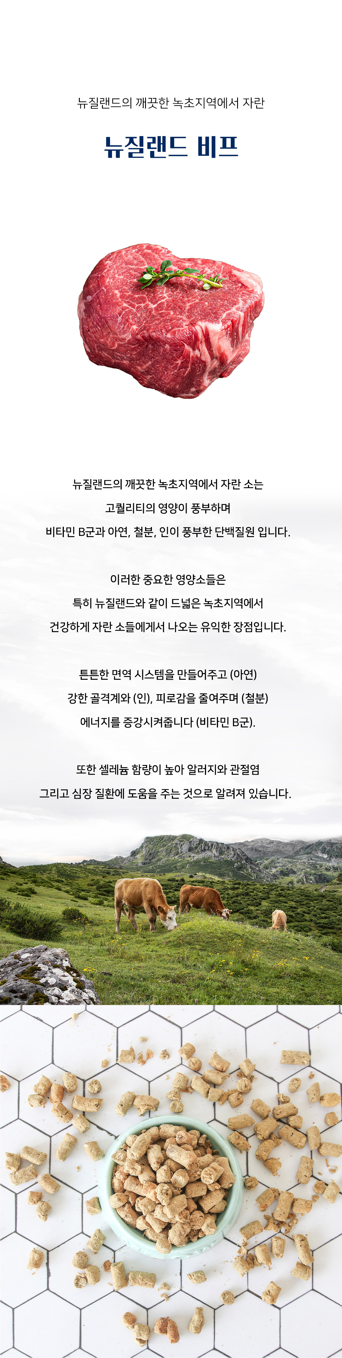 워프 동결건조 전연령 사료 소고기 1kg