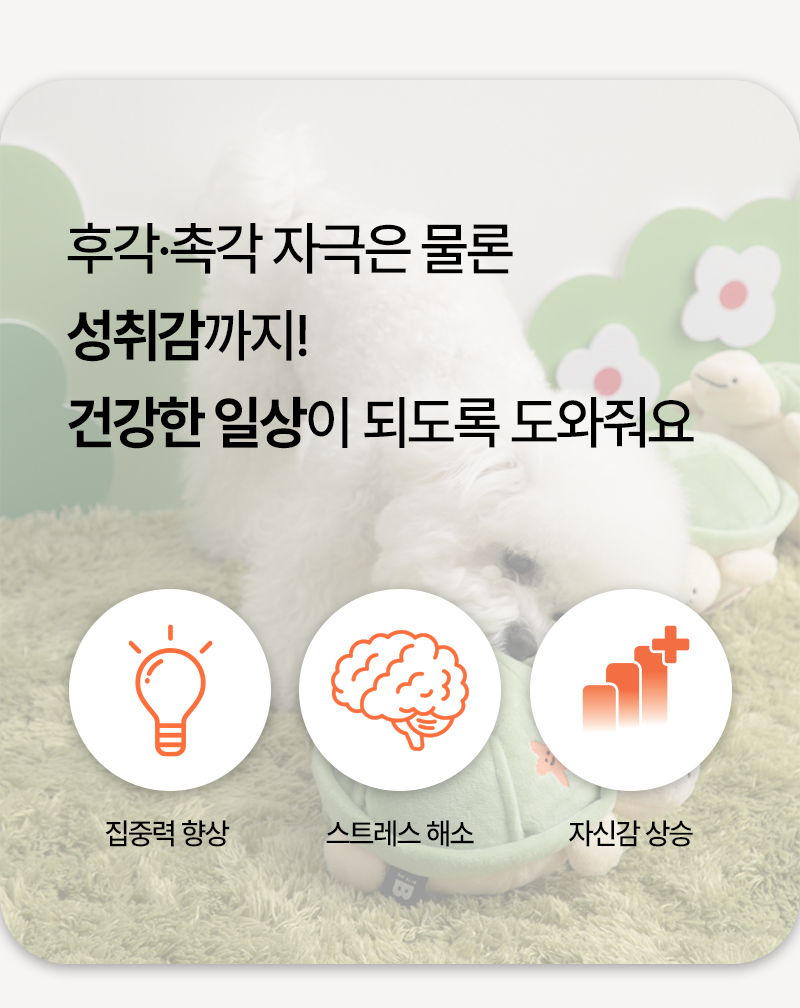 점핑부기8.jpg