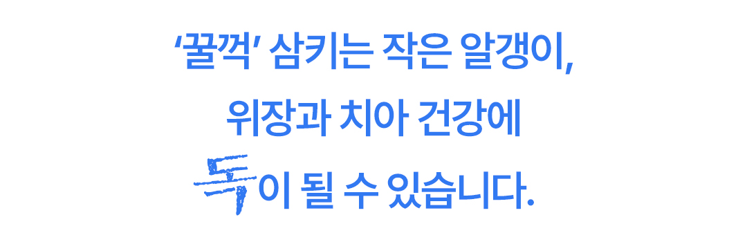 토우 퍼피 훈제연어 & 고구마 2kg