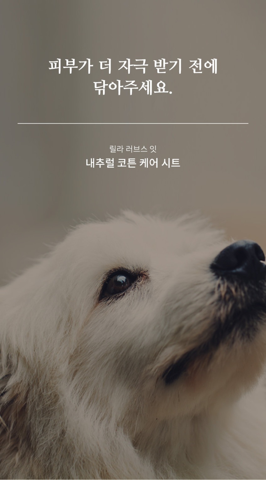내추럴 코튼 케어 시트 100매