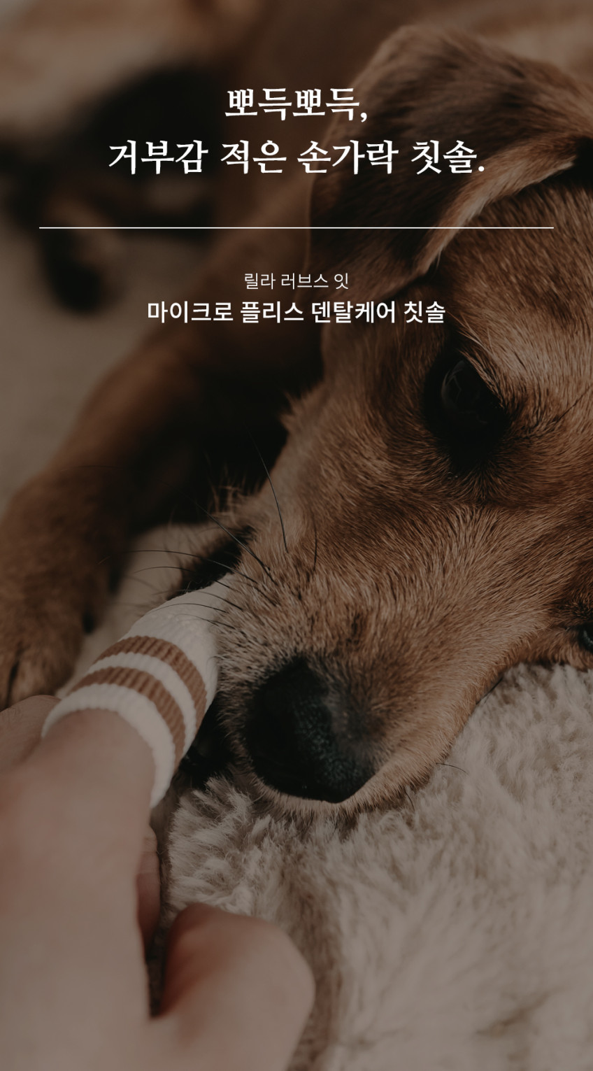 릴라러브스잇 마이크로 플리스 덴탈케어 손가락 칫솔