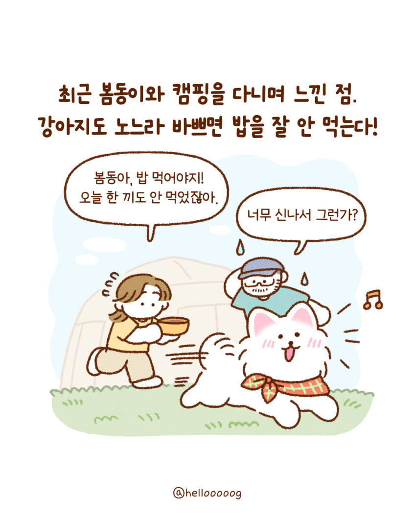 닥터뉴토 뉴트리케어 한끼밸런스 치킨 80g