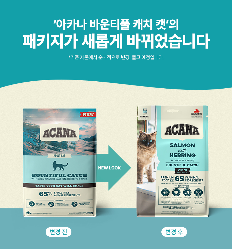 아카나 바운티풀 캐치 캣 4.5kg