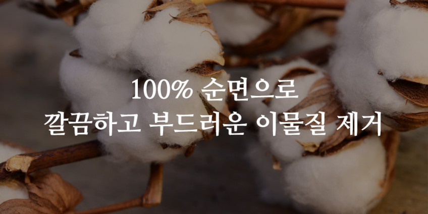 내추럴 코튼 케어 시트 100매