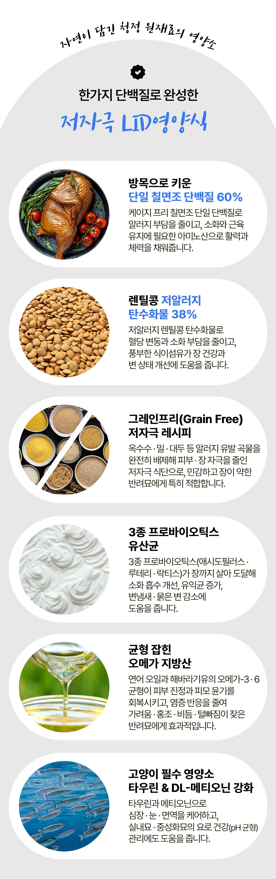 토우 캣 프레이 칠면조 2.72kg