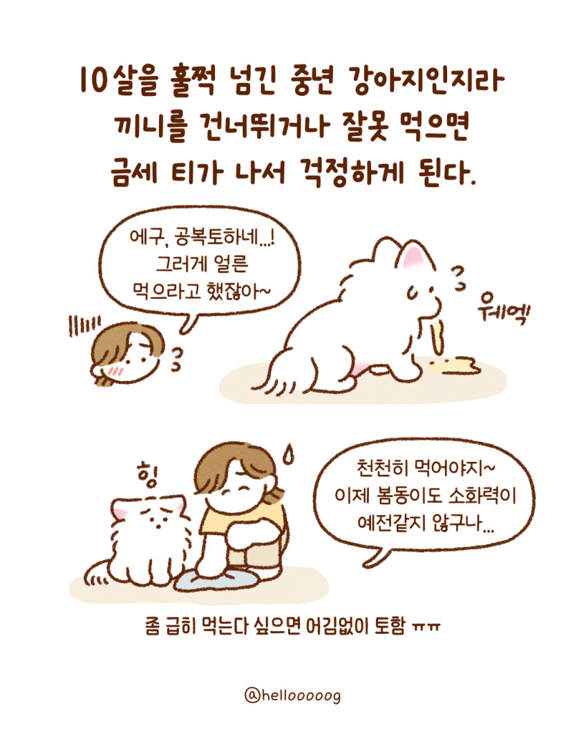 닥터뉴토 뉴트리케어 한끼밸런스 치킨 80g