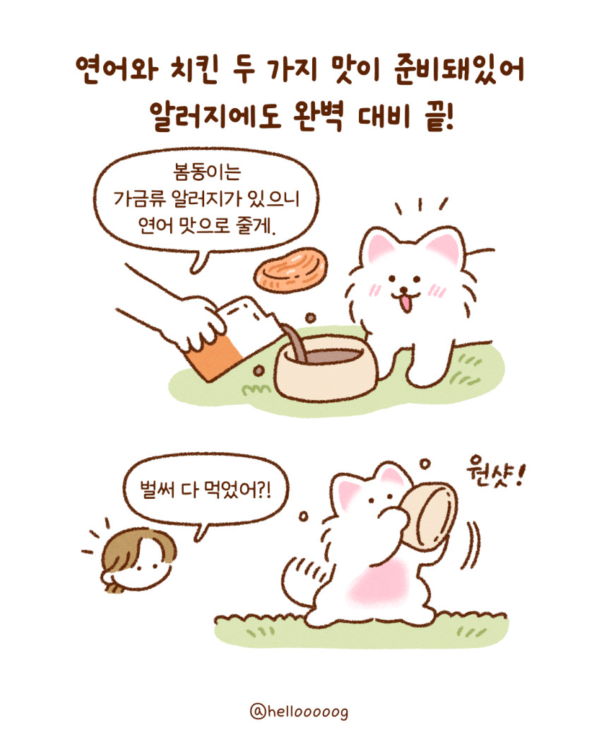 닥터뉴토 뉴트리케어 한끼밸런스 연어 80g