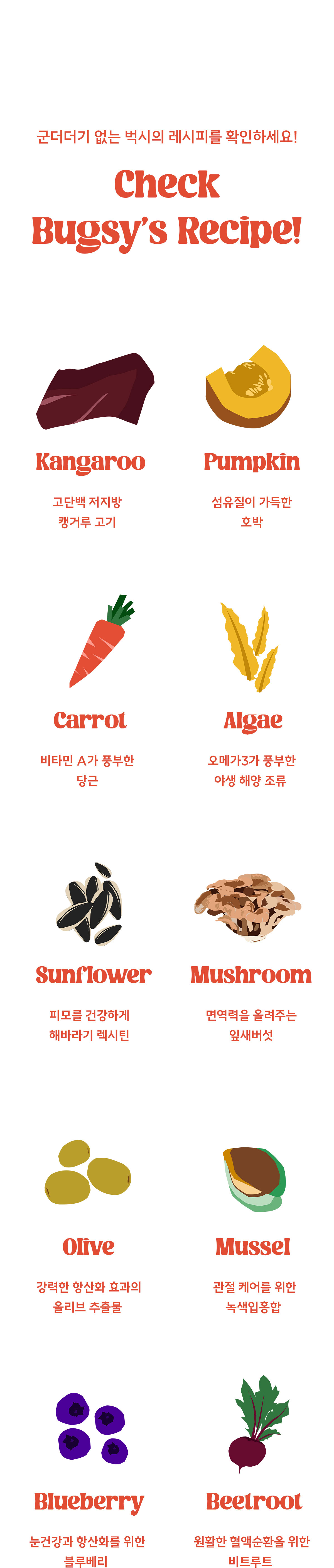 벅시 에어드라이드 캥거루 전연령 사료 1.1kg