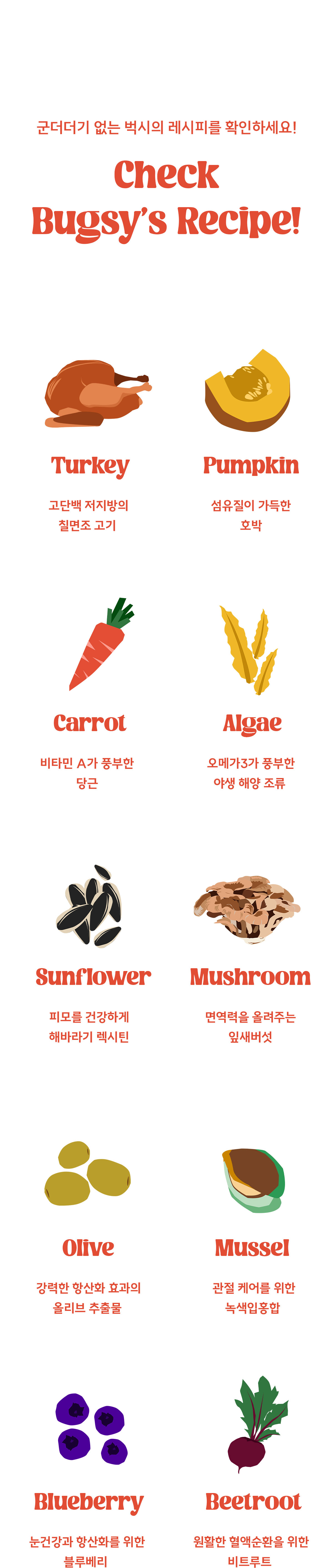 벅시 에어드라이드 칠면조 전연령 사료 1.1kg