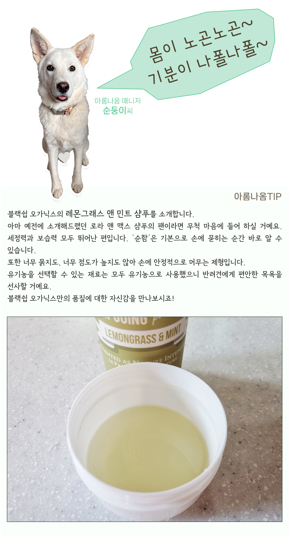 블랙쉽 오가닉스 레몬그래스 앤 민트 샴푸 236mL