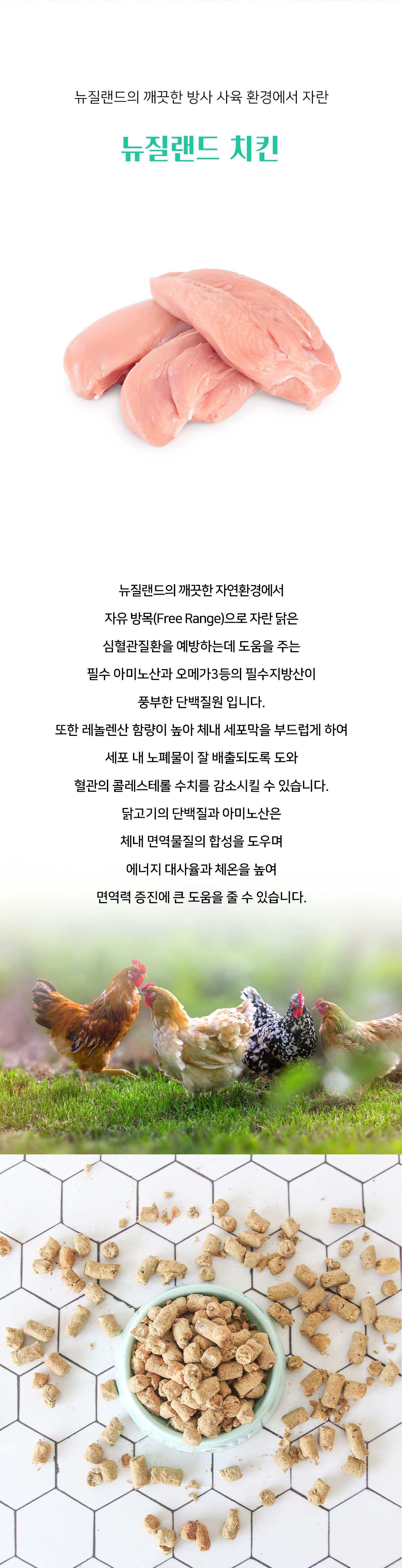 워프 동결건조 전연령 사료 닭고기 50g