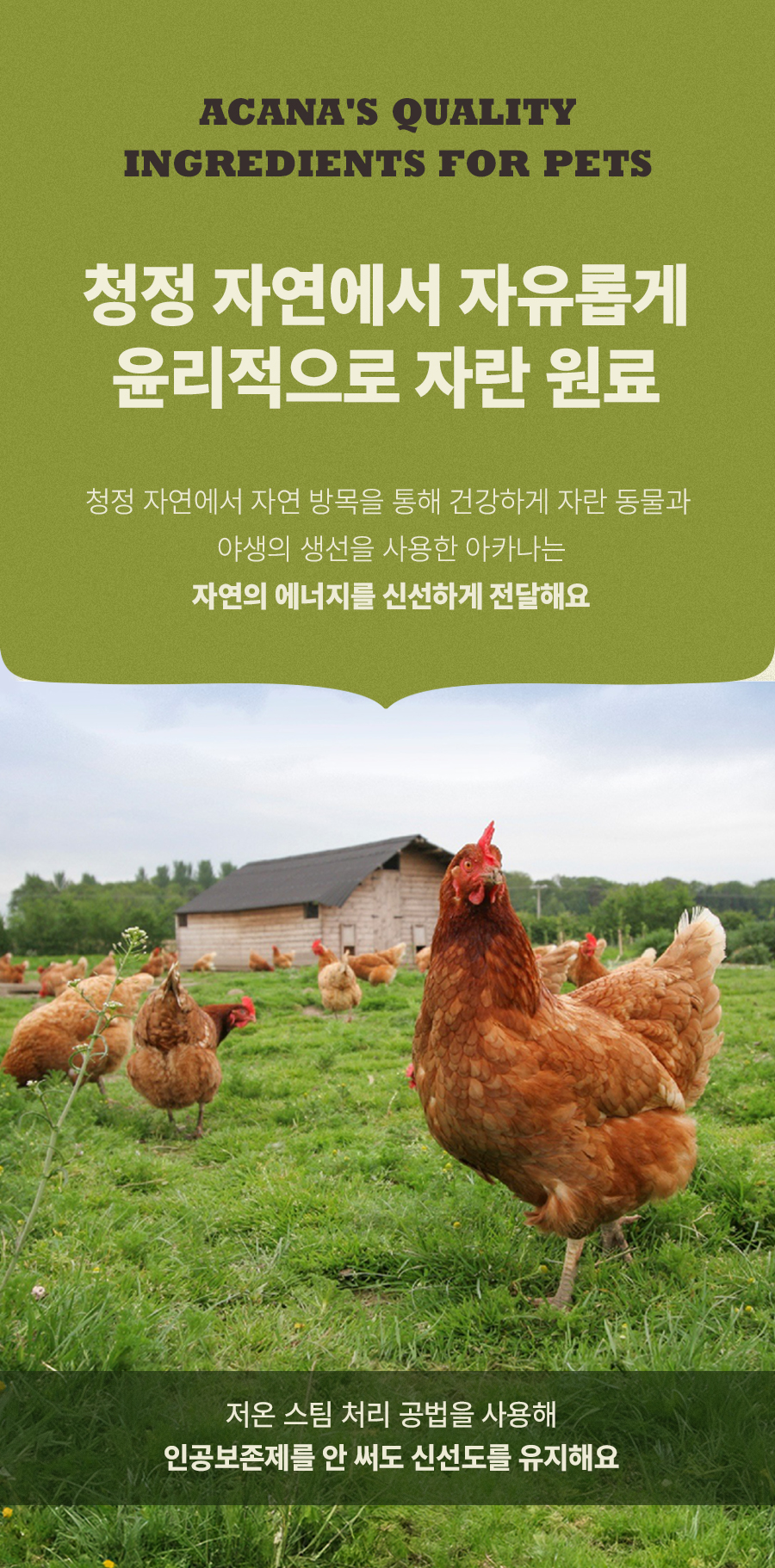 [1+1] 아카나 와일드 프레이리 캣 1.8kg (유통기한 26.10.29)