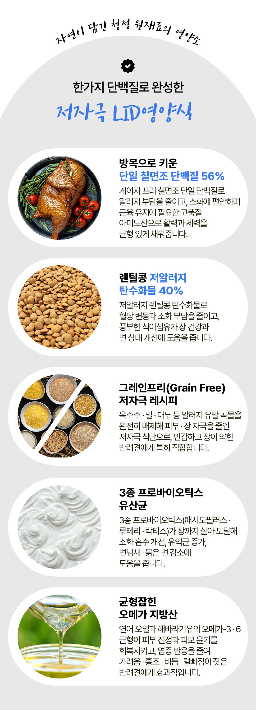 토우 프레이 칠면조 독 3.63kg