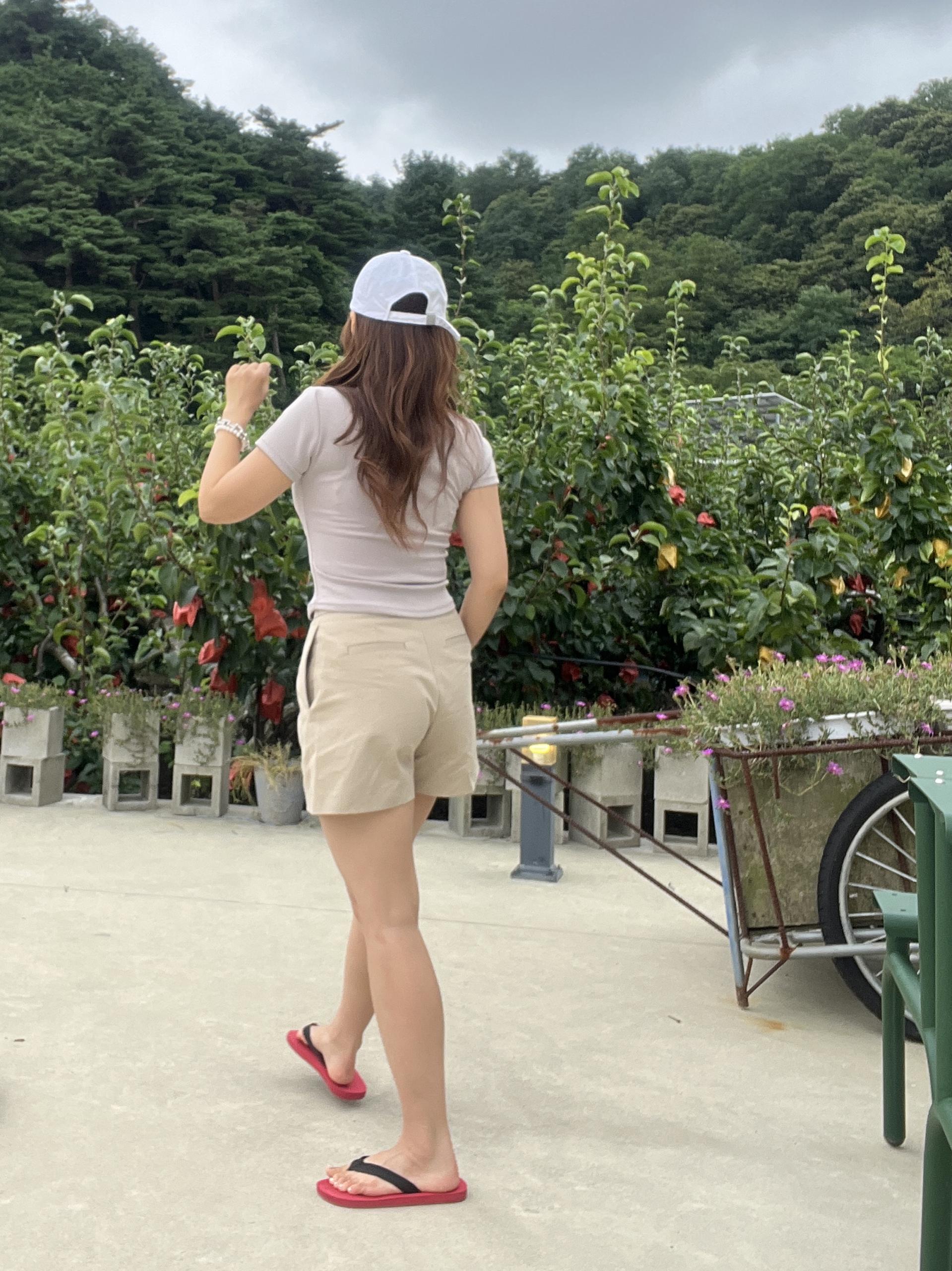메이티셔츠