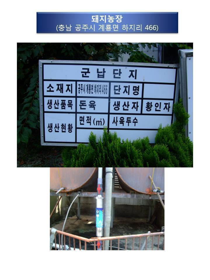 5bc6c9029a40a.jpg