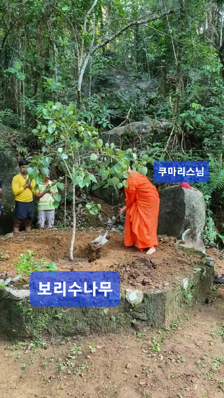19f3c4c27eae3.png