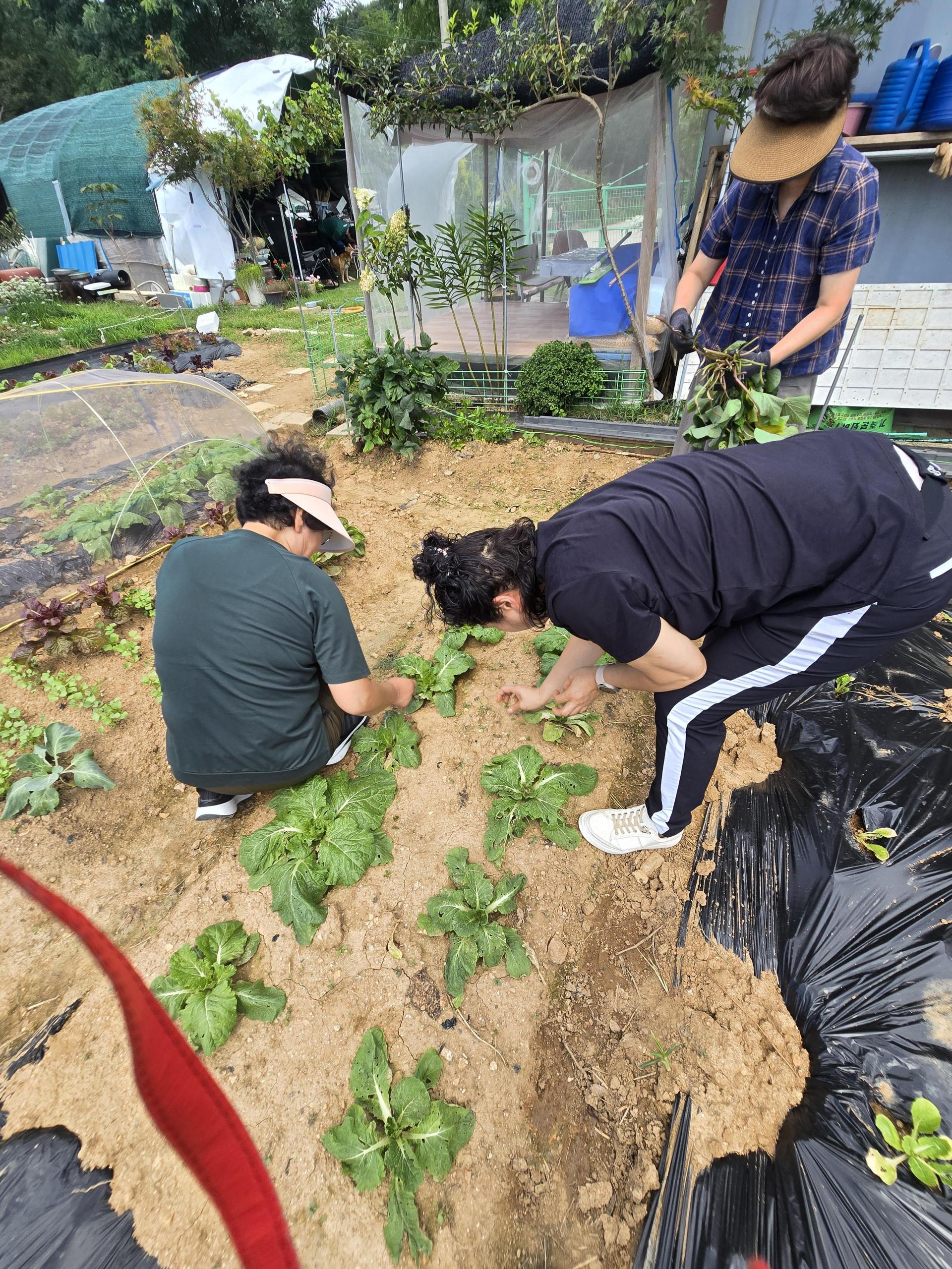 c2dcd679760b8.jpg