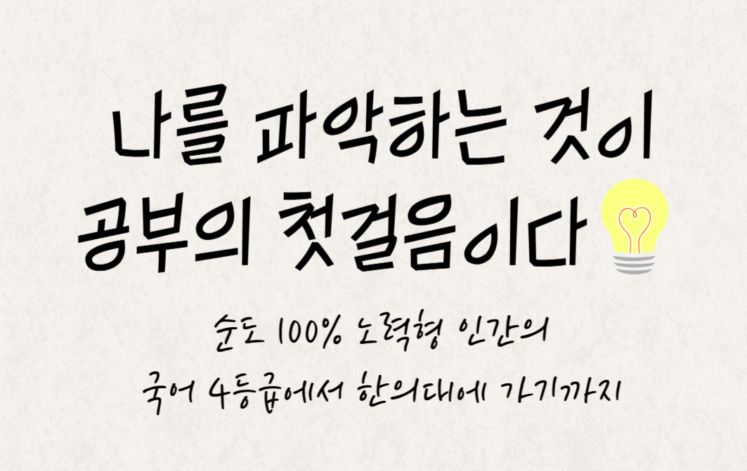 fc60626d81ae5.png