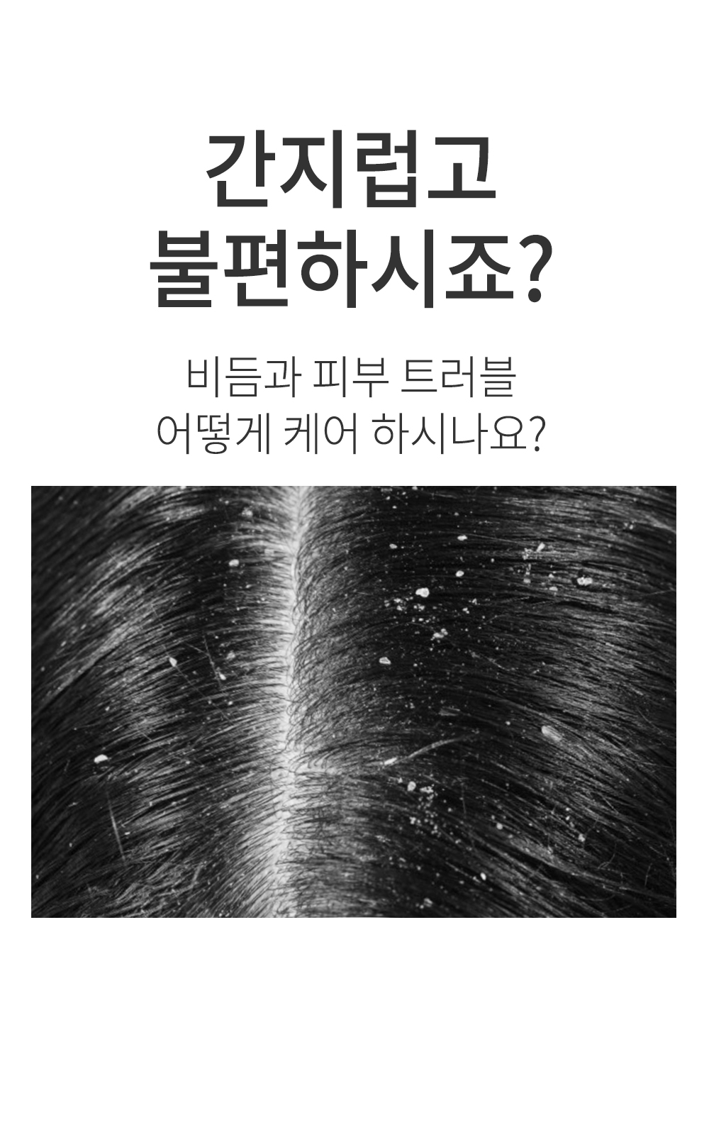 a2a70e78d4910.jpg