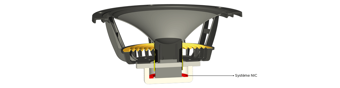 5298888ff979c.png