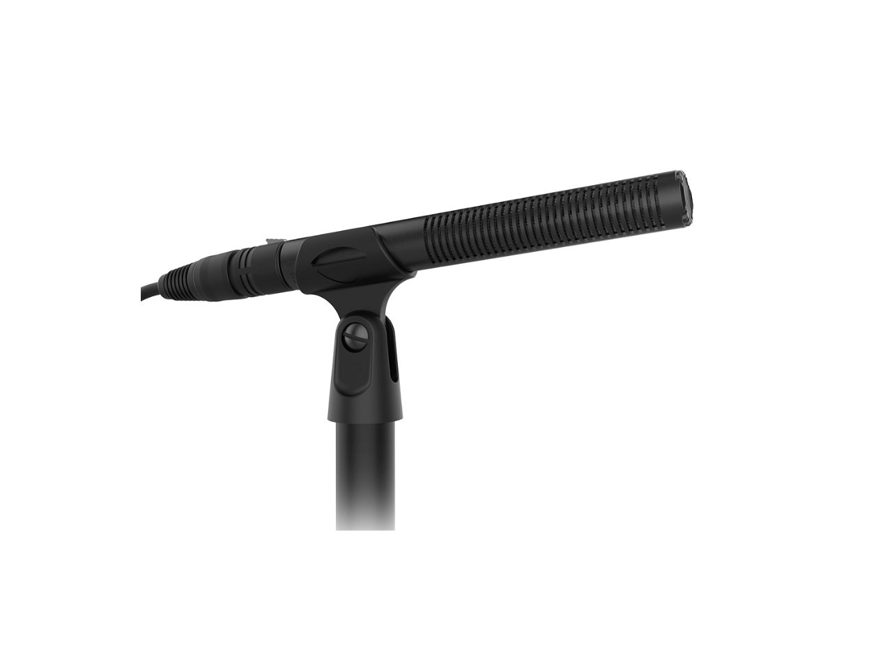 60aed90c99a25.jpg
