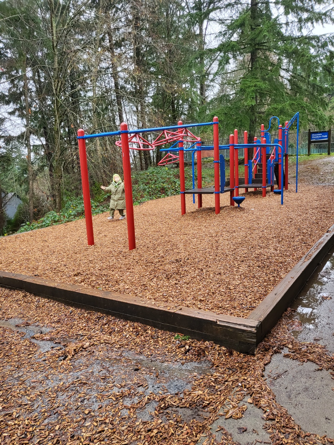 271219e126b27.jpg