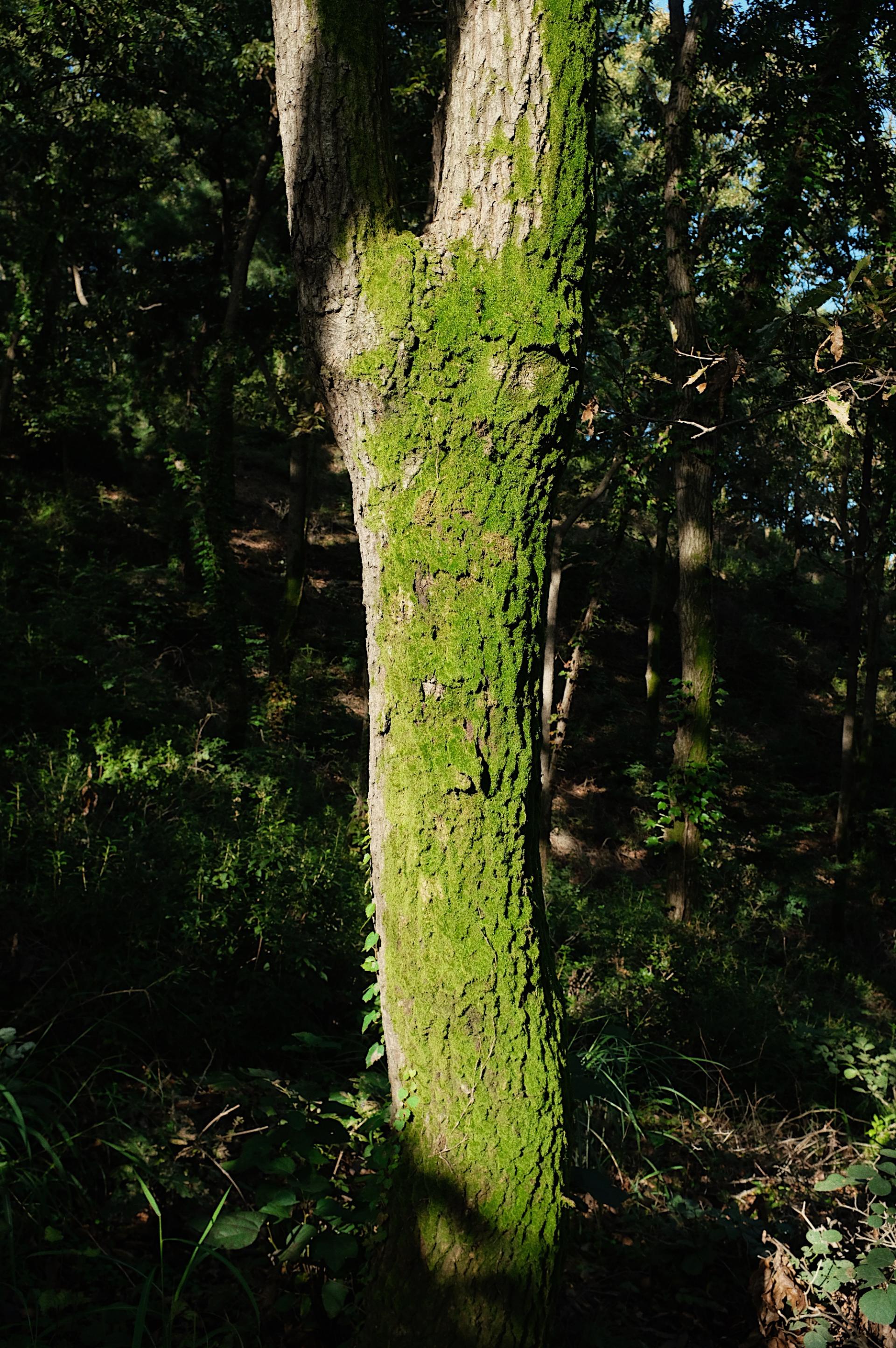 01eb2912bc013.jpg
