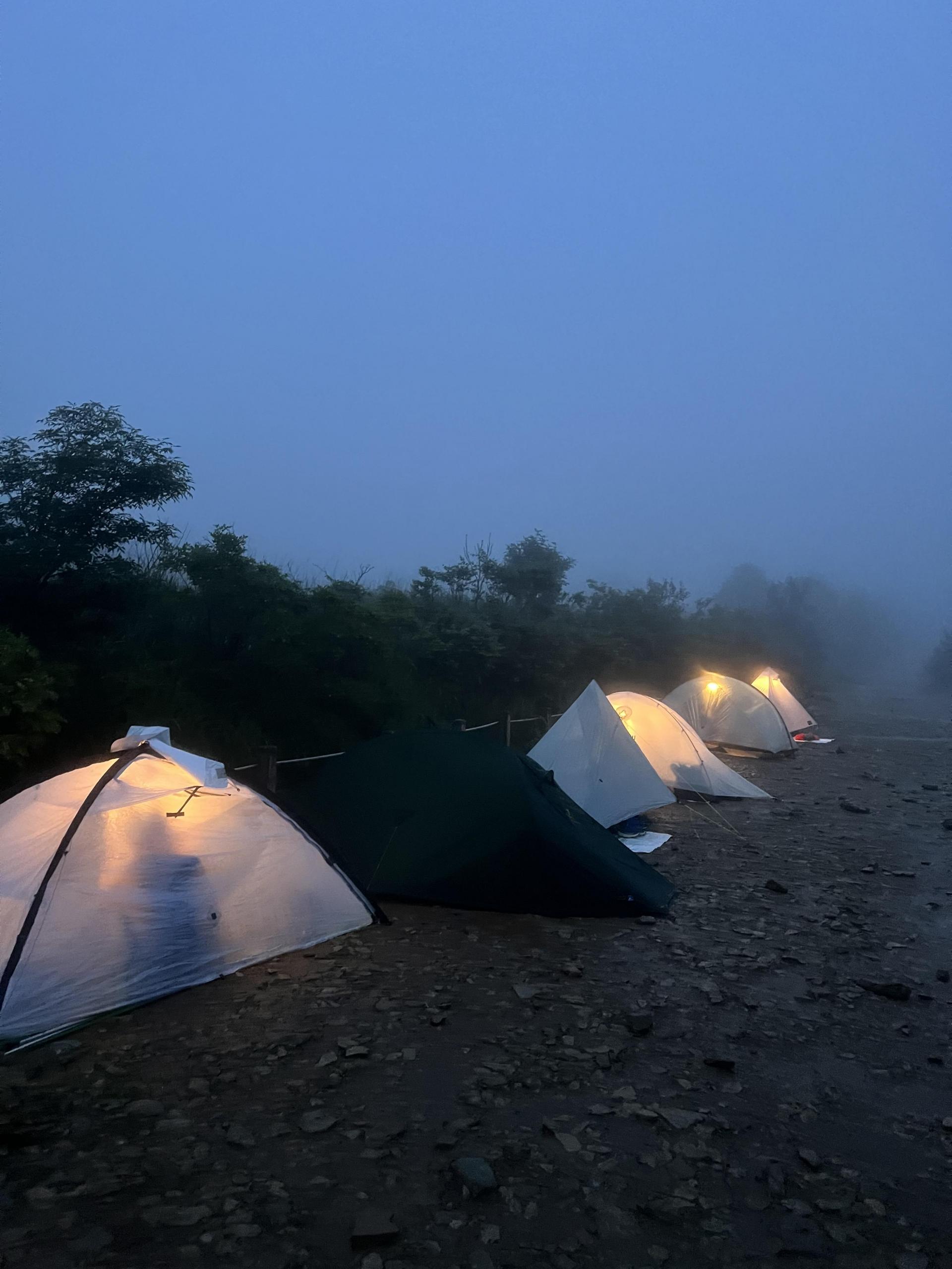 277701f1ac337.jpg