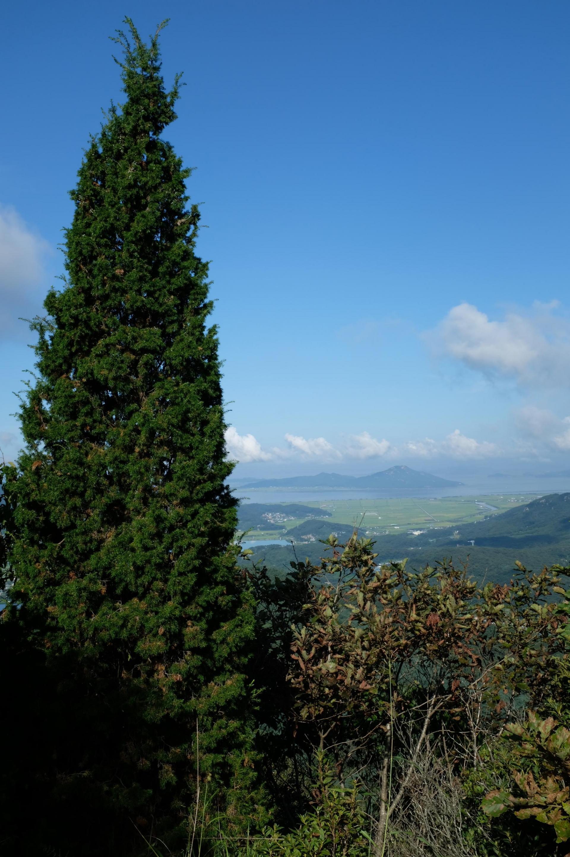 5ae7a1f259013.jpg