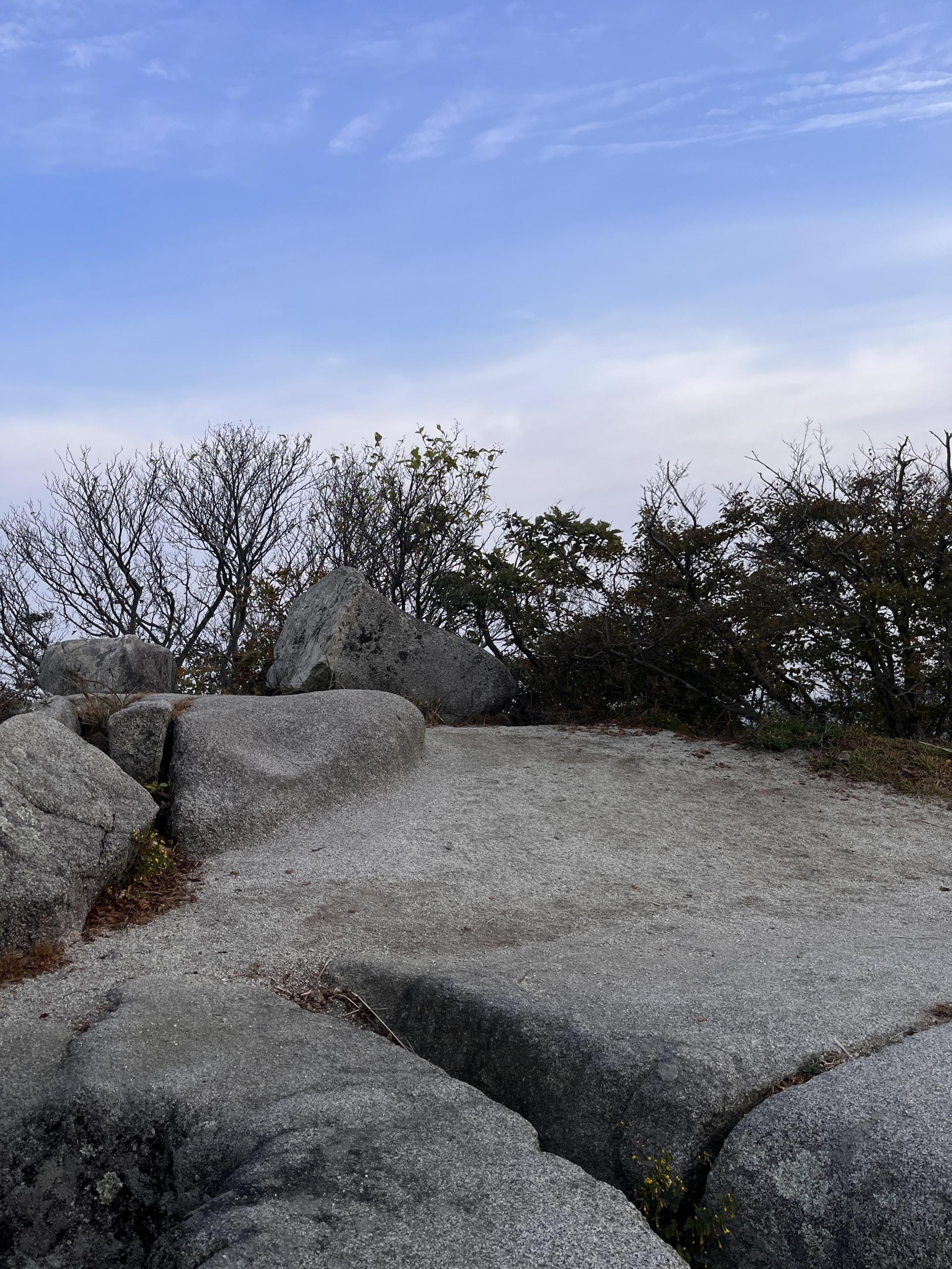 ca6f0900d5710.jpg