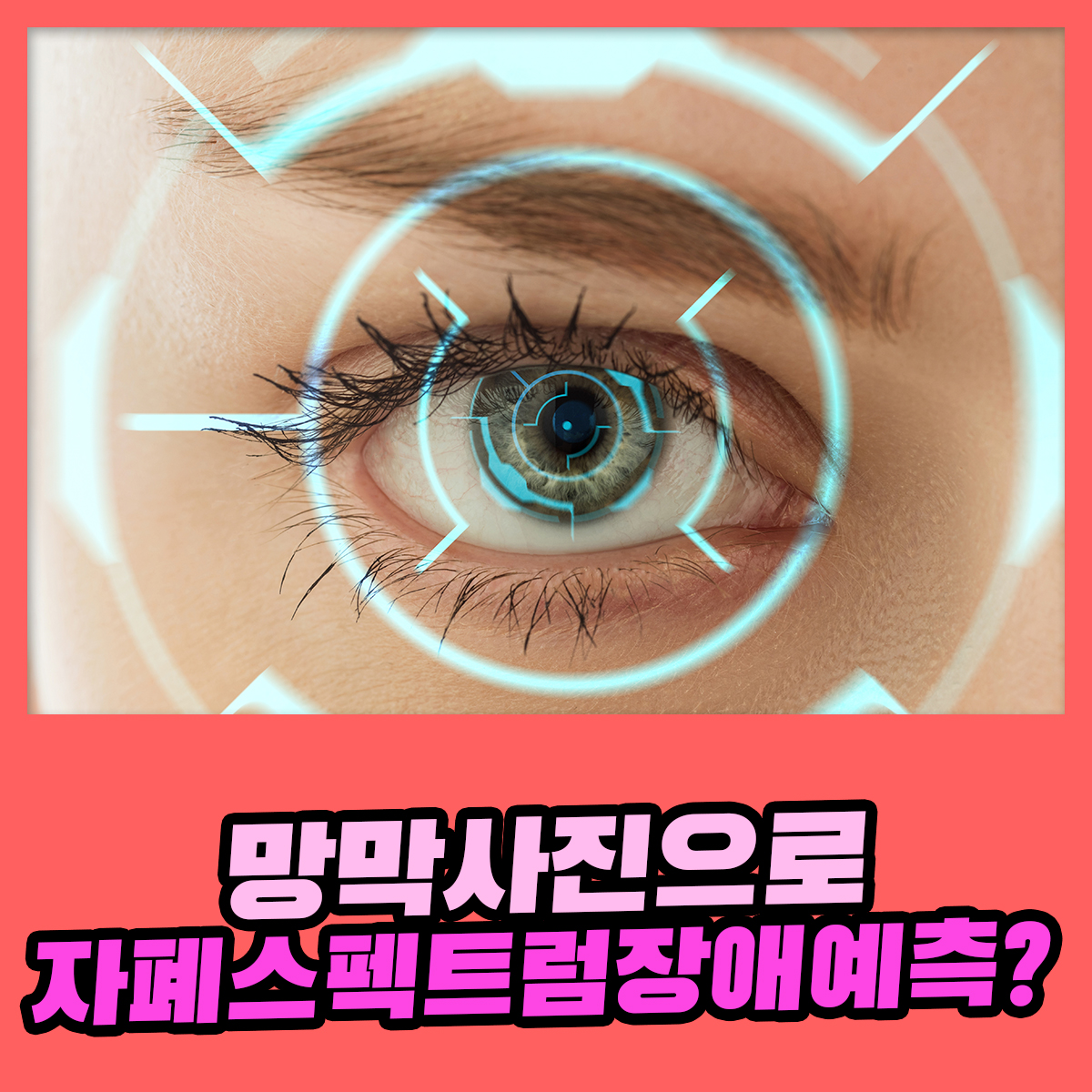 04351754e1b1e.jpg