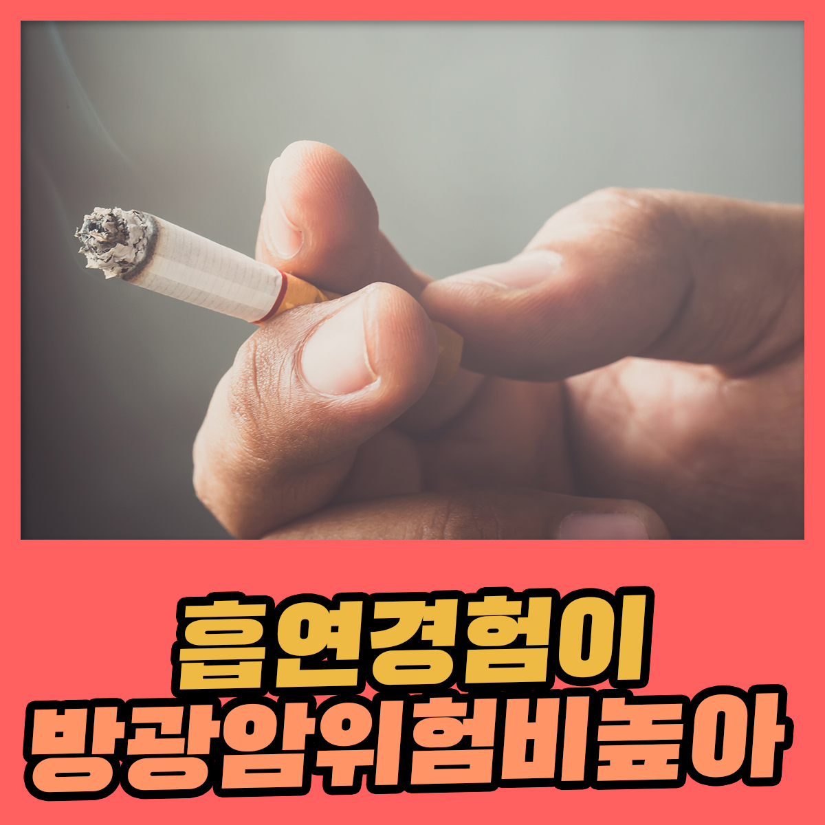흡연 경험이 있는 60대 이상이라면 방광암 위험비 높아 : 건강검진정보