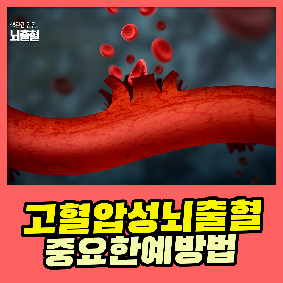 3cea3bbc065ca.jpg
