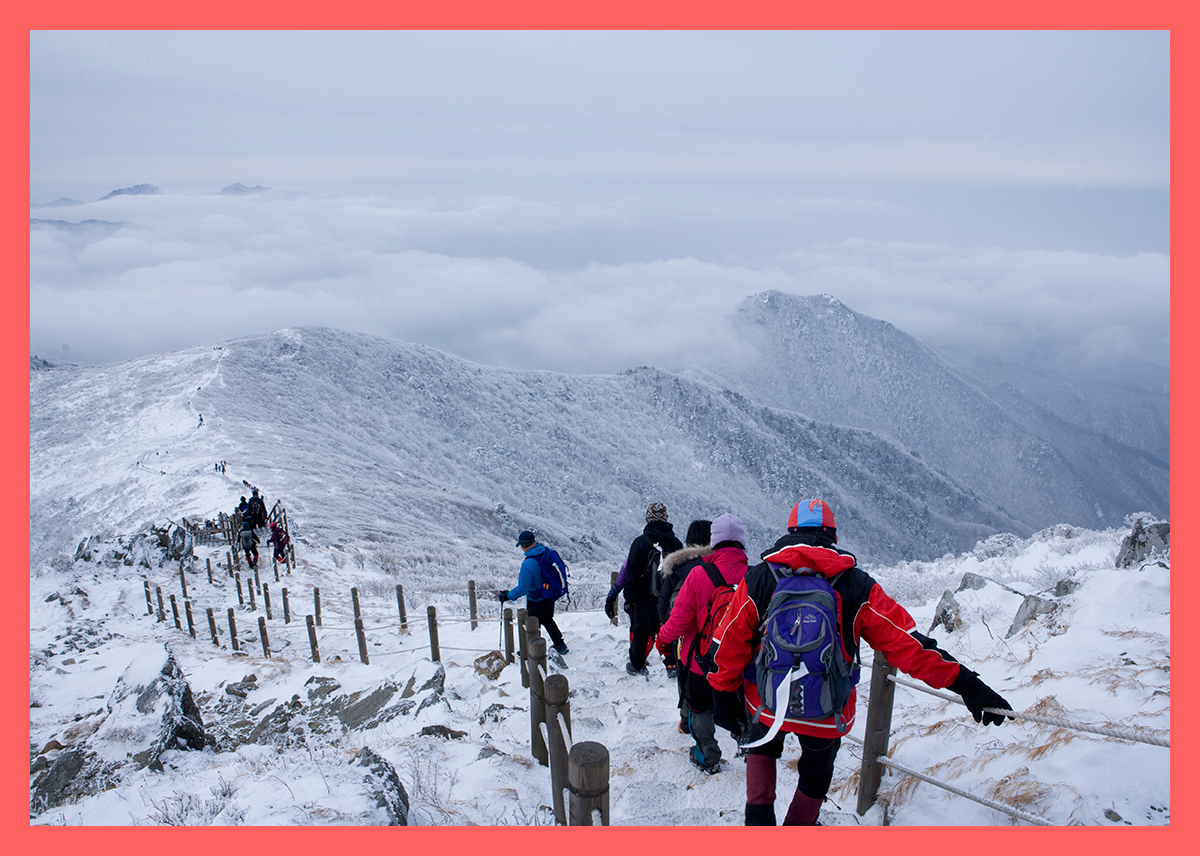 44d15f0f1722c.jpg