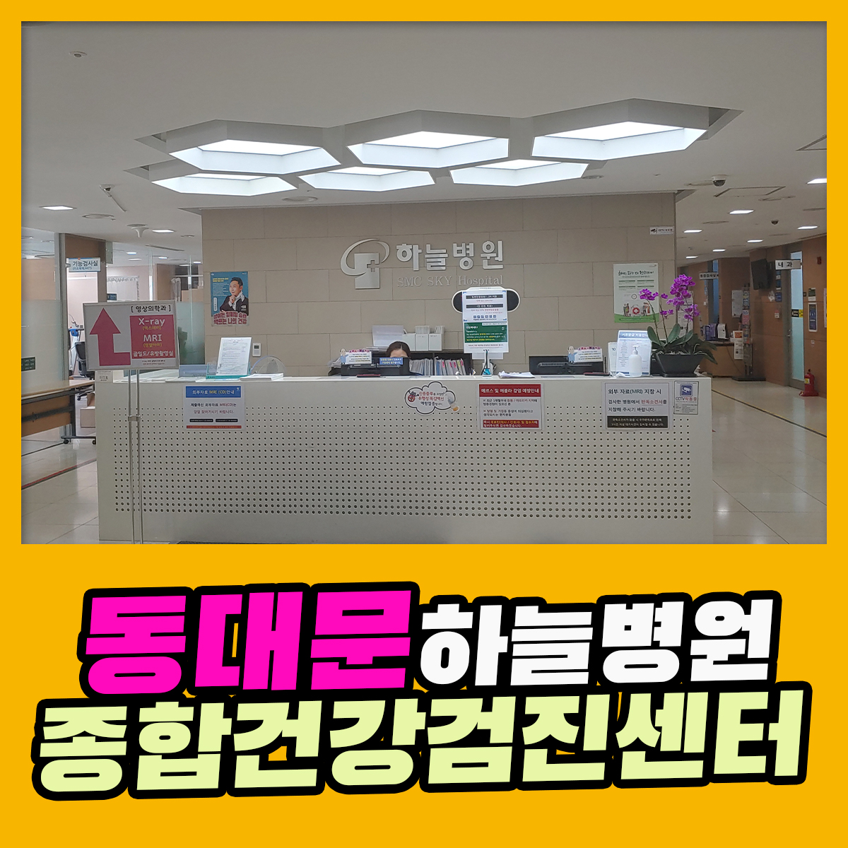 동대문 종합 건강검진센터 / 필수 건강검진은 하늘병원에서 : 건강검진정보