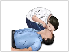 5c10b5b12ba0c.jpg