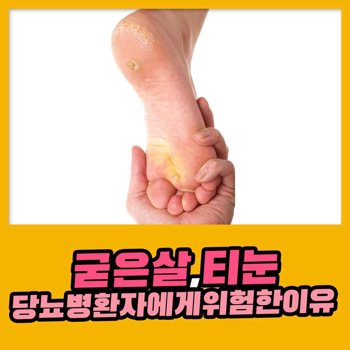633141ee2e929.jpg