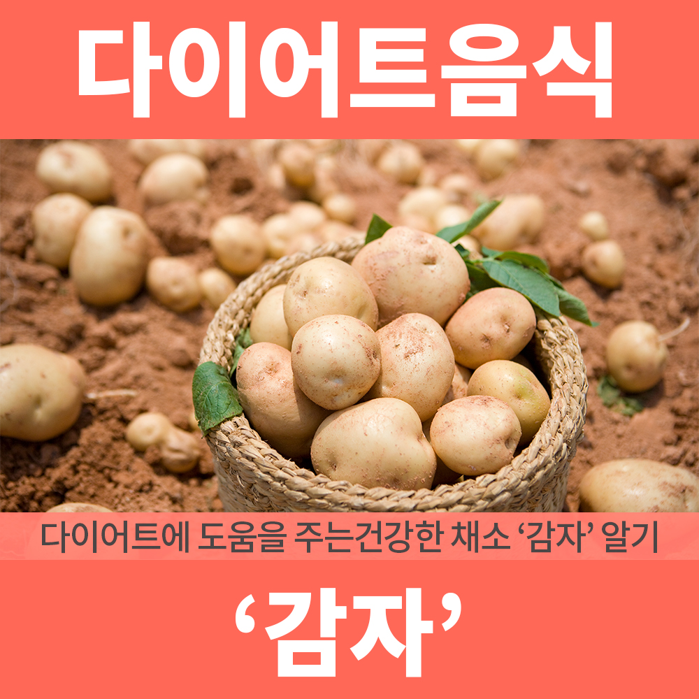 인천 다이어트 효과적 감량 5