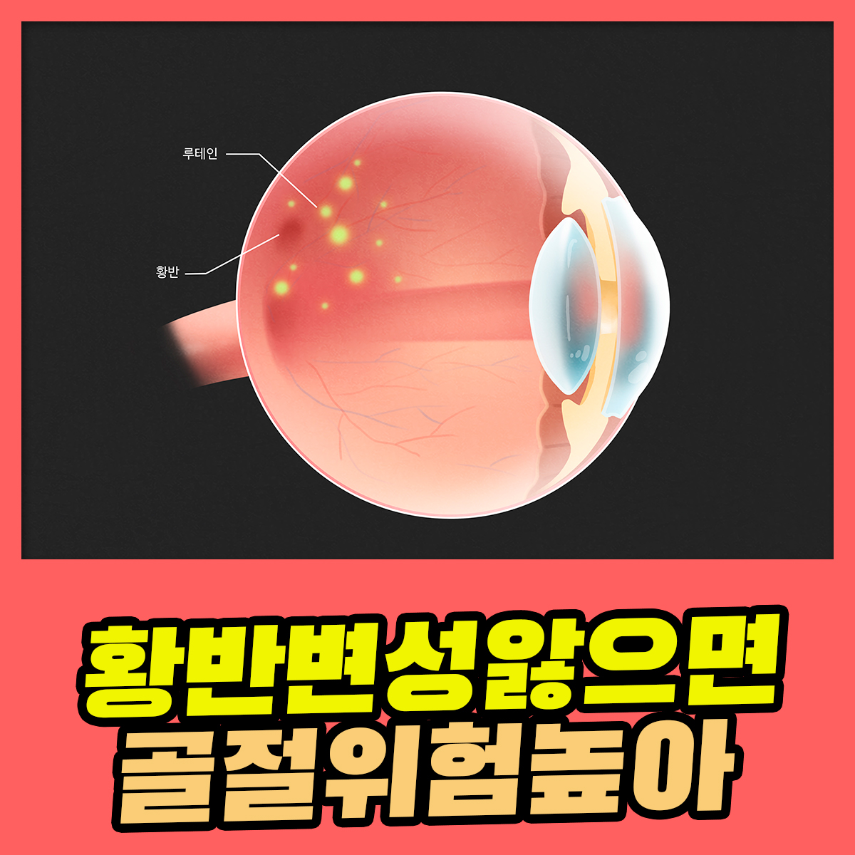 784d56f967c09.jpg
