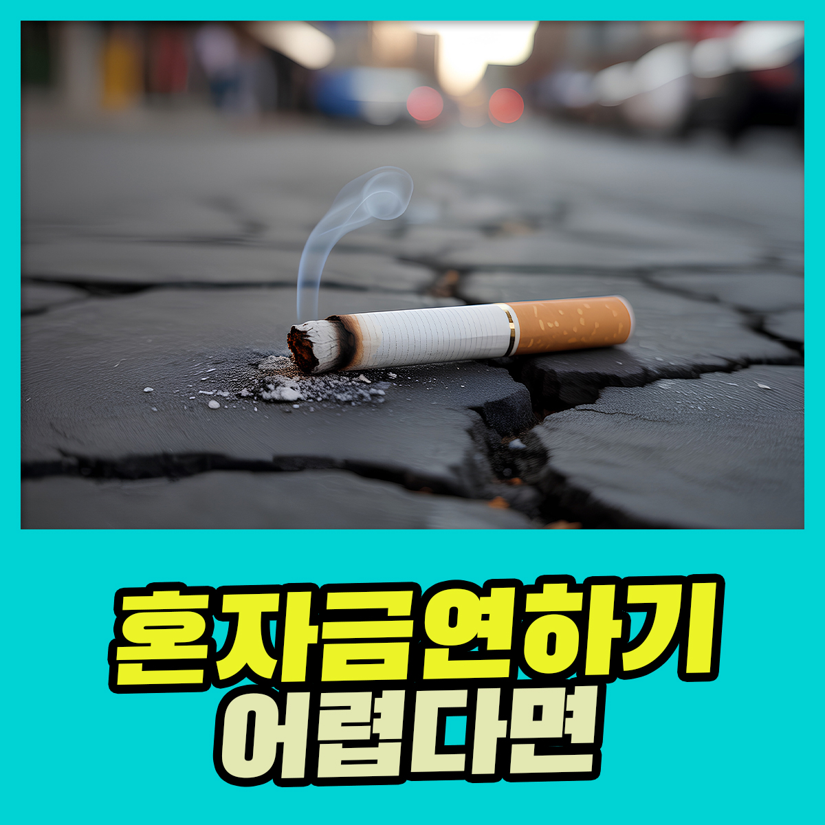 9b9c6a15599a9.jpg