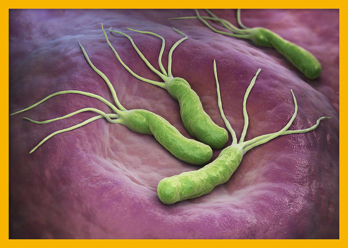 9f21d273a71d3.jpg