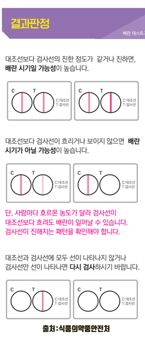 스마일 배란일 테스트기 사용법 리뷰 앱 배란일 피크