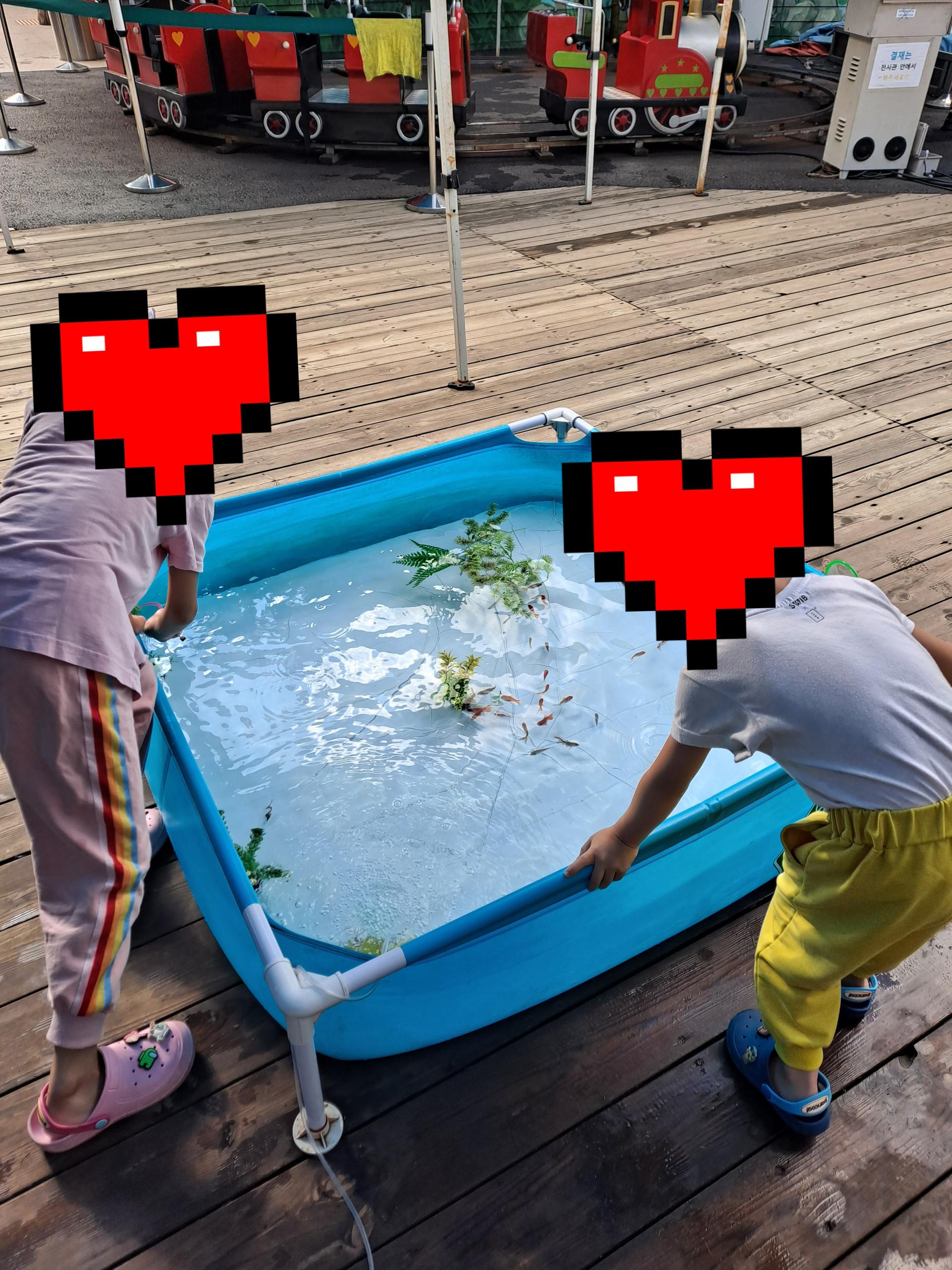 4a3c8f40bdd57.jpg
