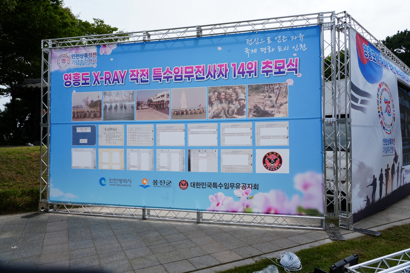 74cb5dc043637.jpg