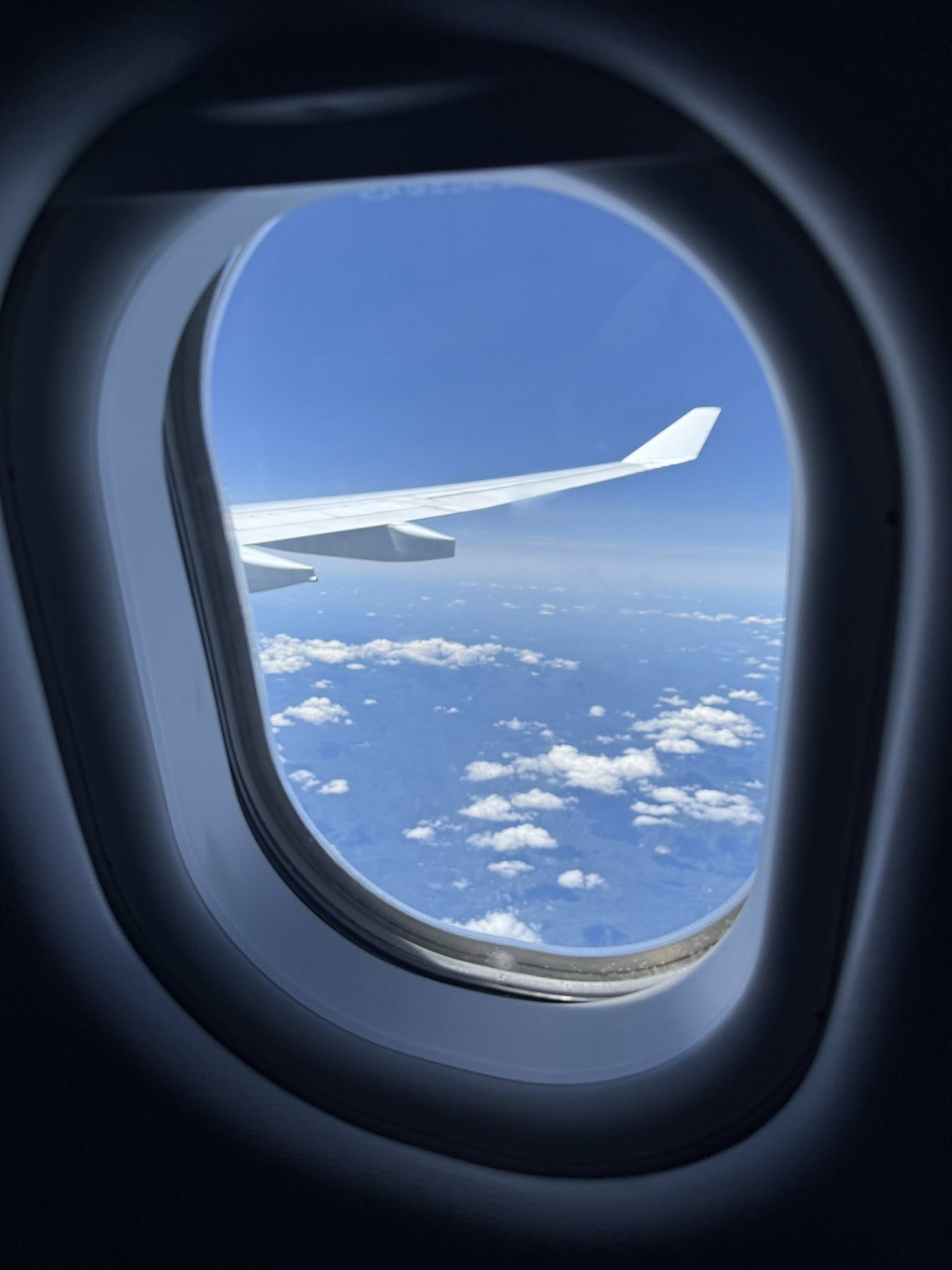 d71fce1ff3402.png
