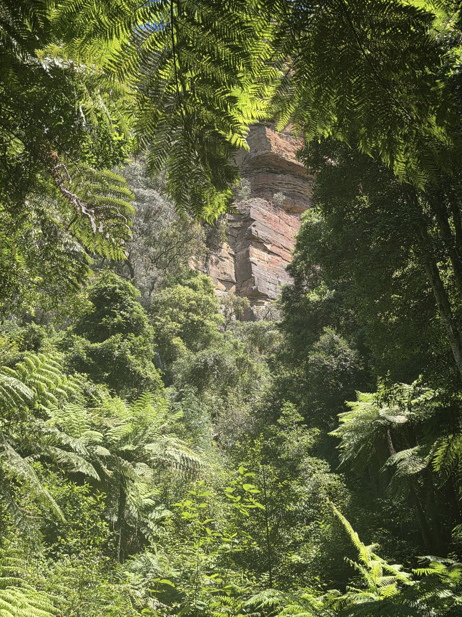 dc53ef1f06fa2.png