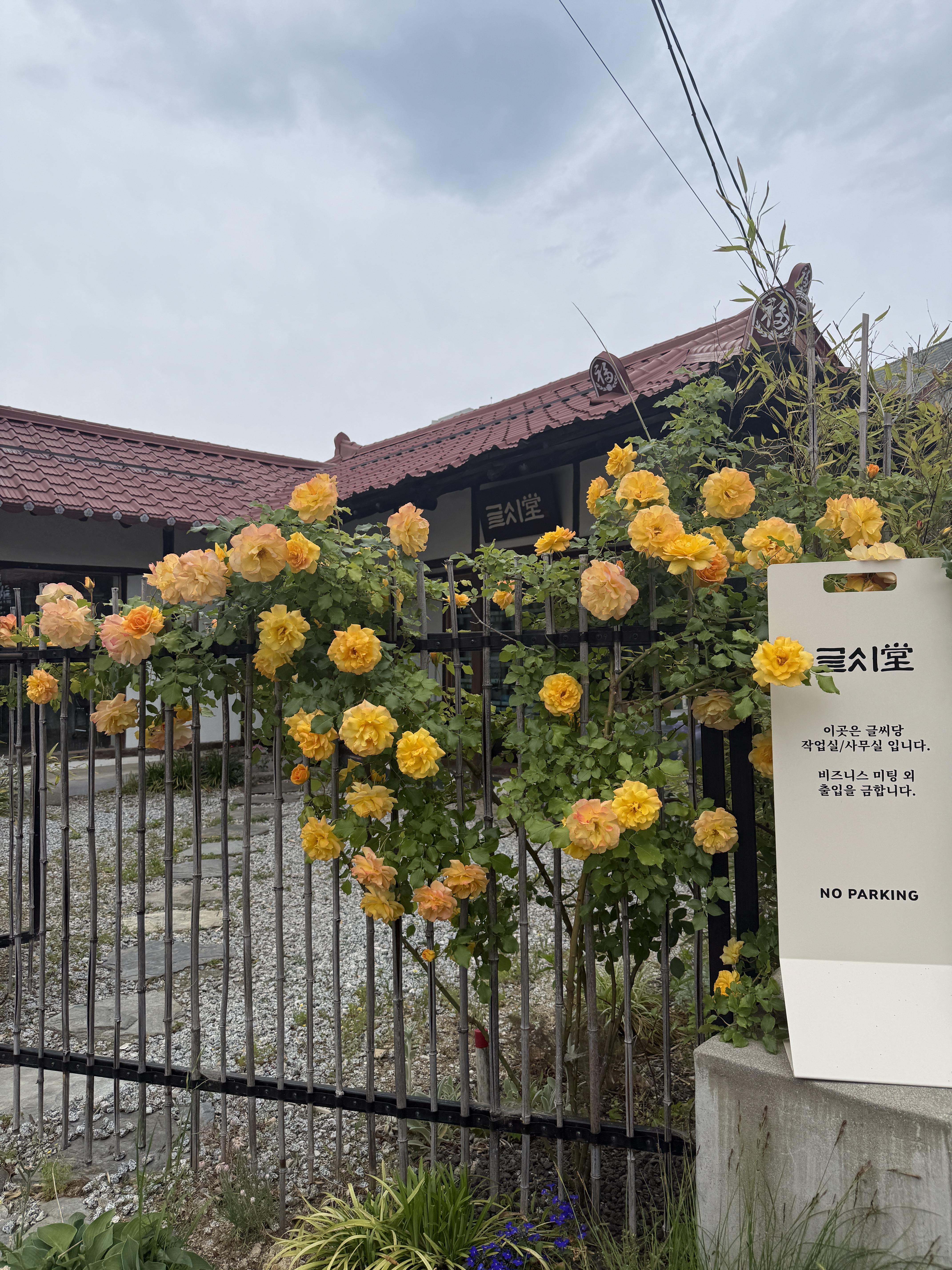 eee940a866628.jpg