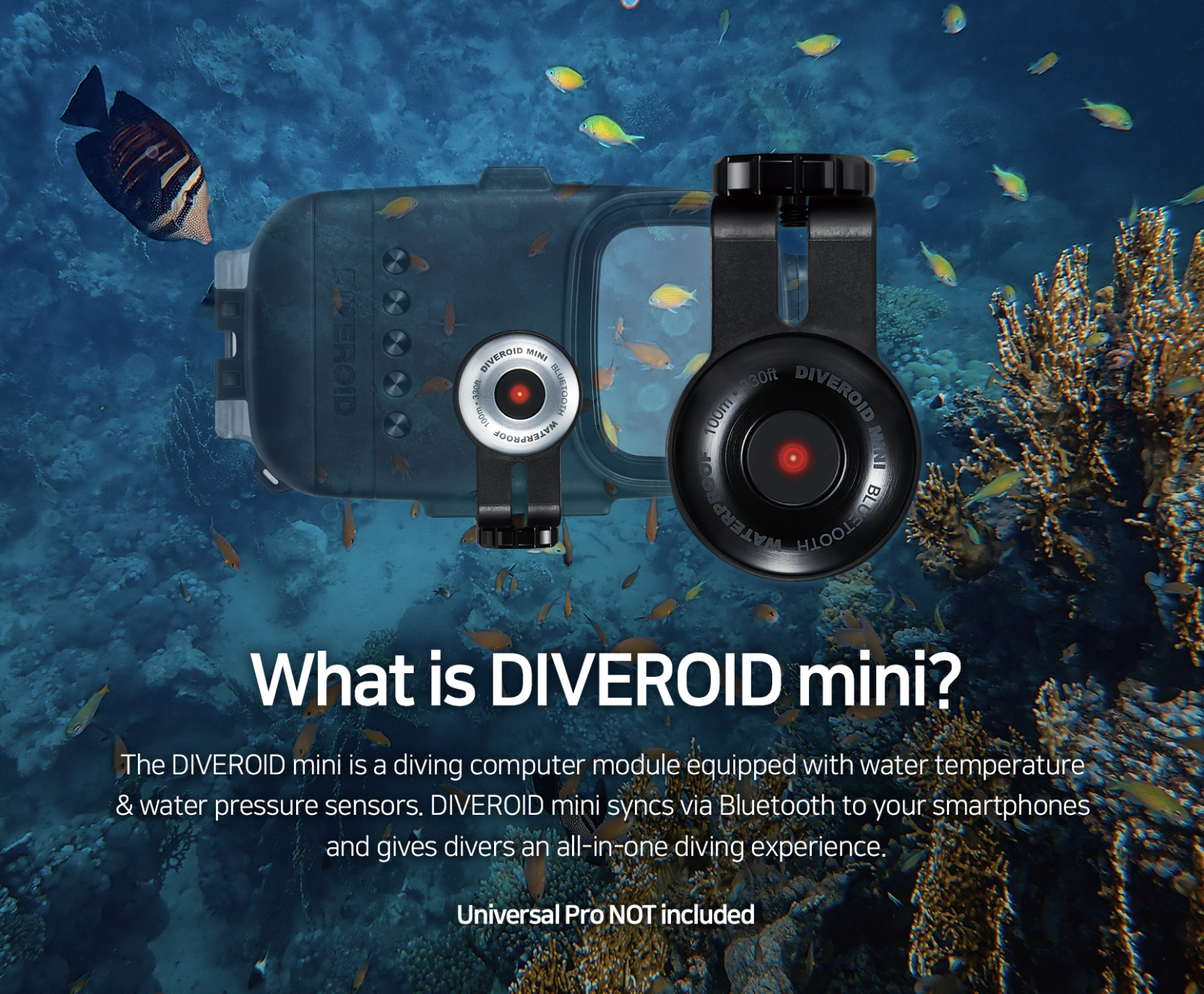 Mini : DIVEROID_en