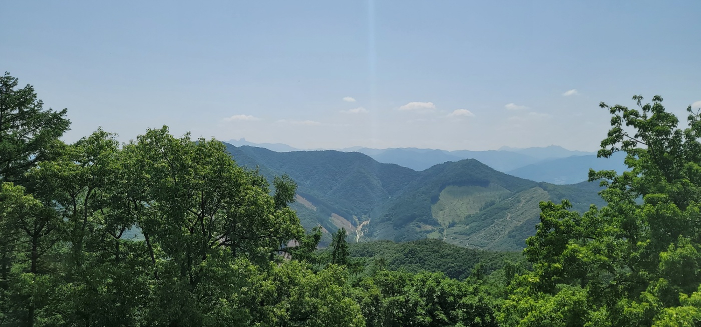 c798e8f3ff617.jpg