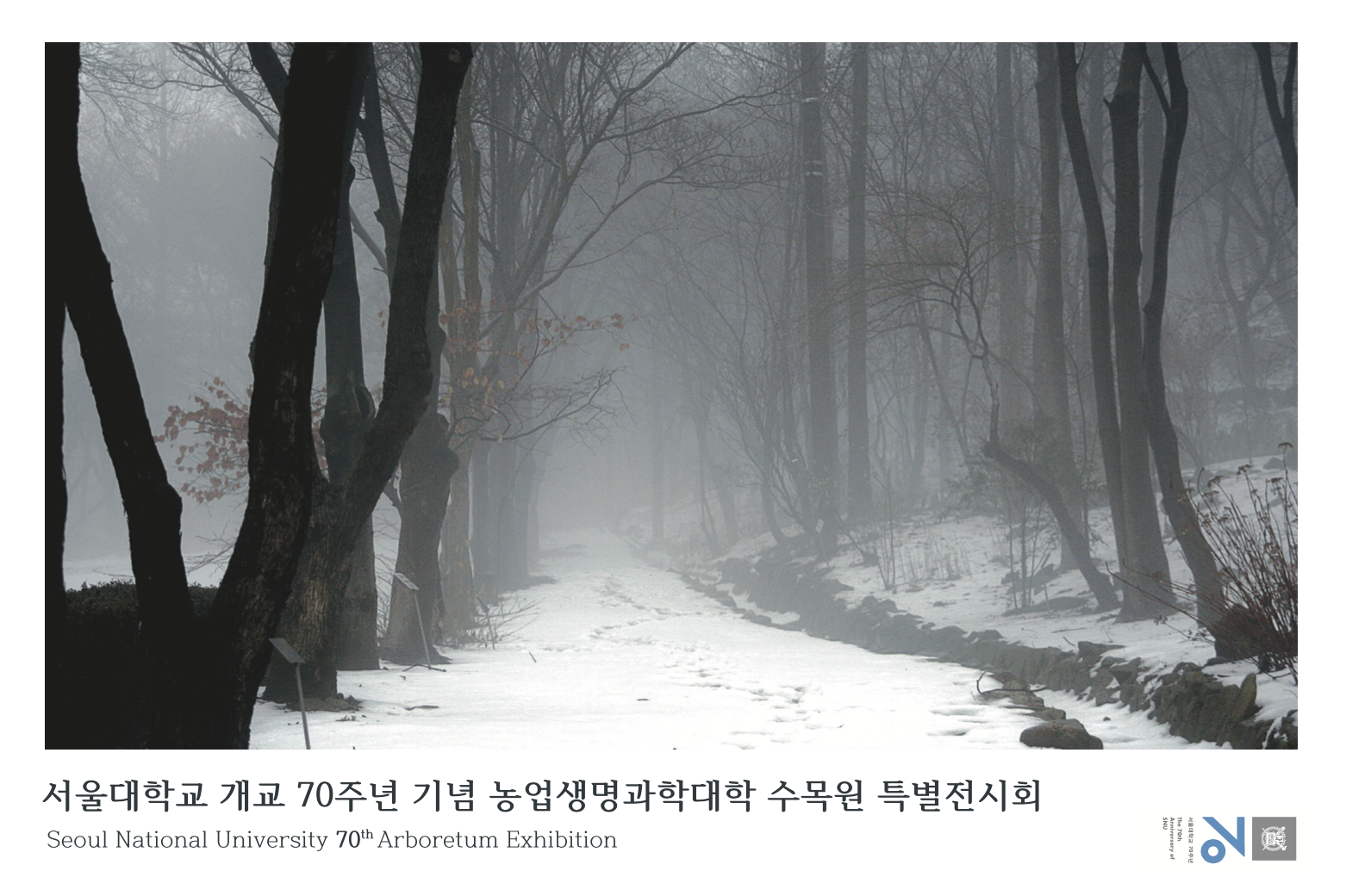 46680af466093.png